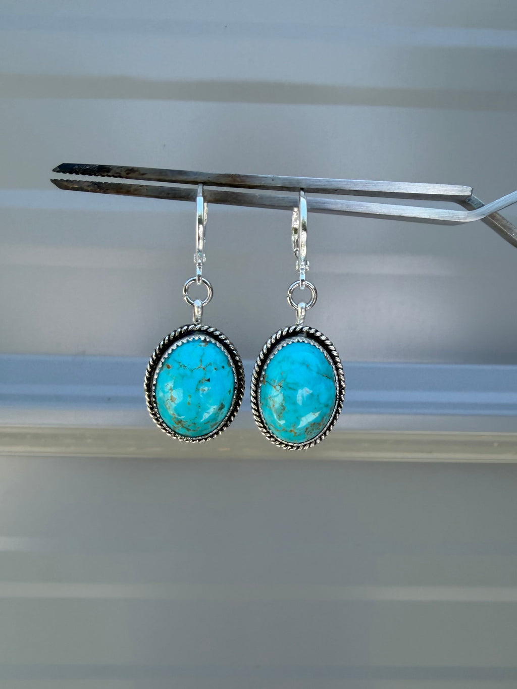 Bluebird Hoops