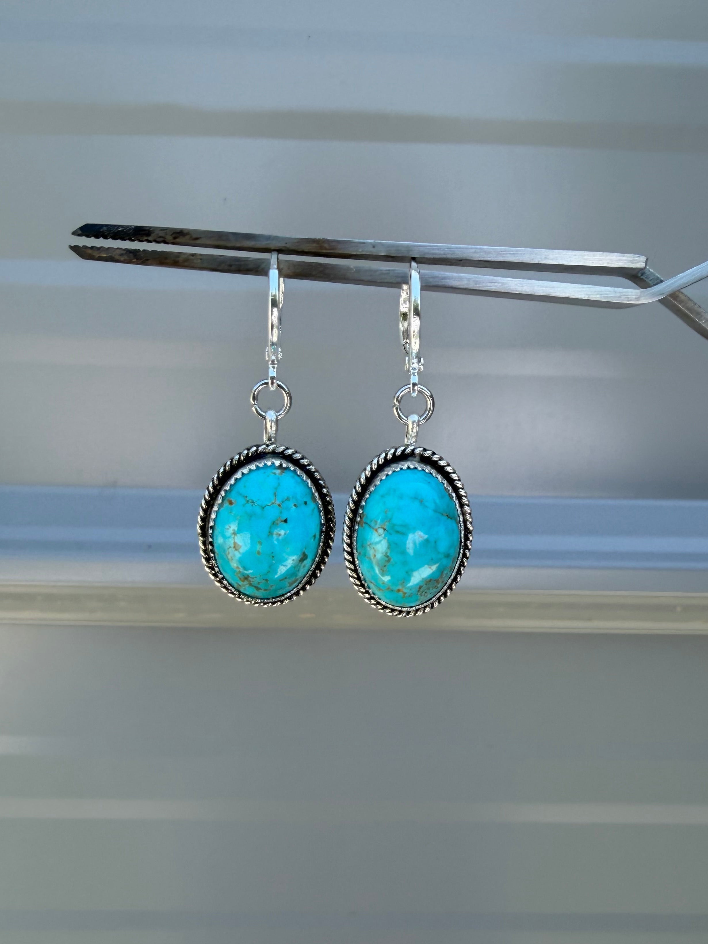Bluebird Hoops